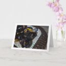 Search for shellfish postcards Food