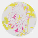 Search for pink dahlia stickers Bright