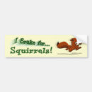 Search for squirrel bumper stickers Joke