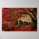 Search for british columbia posters Nature