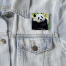 Search for giant panda badges Smithsonian