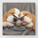 Search for pet photography posters Puppies