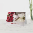 Search for kitten christmas cards Photograph