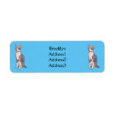 Search for sphynx cat return address labels Hairless