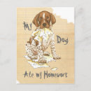 Search for german shorthaired postcards Gsp