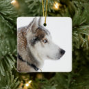 Search for siberian husky christmas tree decorations Snow