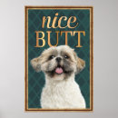 Search for cute dog posters Funny