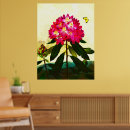 Search for rhododendron posters Plant