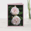 Search for redoute cards Rose