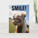 Search for horse lovers birthday cards Funny