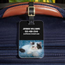 Search for black persian accessories Cat