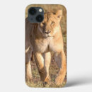Search for carnivores cases Feline