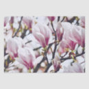 Search for magnolia tissue paper Botanical
