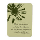Search for ralph magnets Inspirational