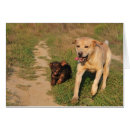 Search for sprint Animal