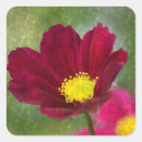 Search for cosmo stickers Pink