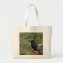 Search for auk accessories Atlantic
