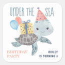 Search for kid turtle Under the sea