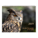 Search for birding photography Wildlife