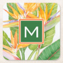 Search for exotic coasters Orange