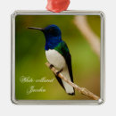 Search for collar christmas tree decorations Bird