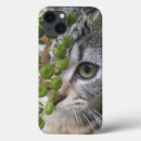 Search for eye phone Tiger