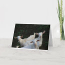 Search for pet goat postcards Horns
