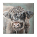 Search for scottish tiles Calf