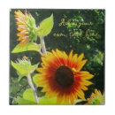 Search for summer sunflower tiles Autumn