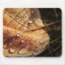 Search for autumn mousepads Leaf