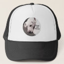 Search for white dog hats Grey