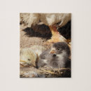 Search for agriculture Cute
