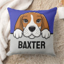 Search for beagle cushions Cute
