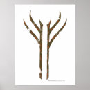 Search for gandalf posters J r r tolkien