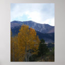 Search for ouray posters Nature