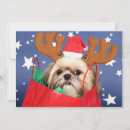 Search for shih tzu christmas cards Colour image