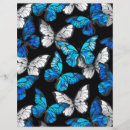 Search for dark flyers Blue