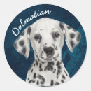 Search for dalmatian print stickers Pets