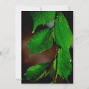 Search for water drop invitations Green