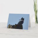 Search for kingfisher cards Nature