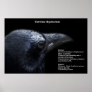 Search for corvidae Raven