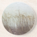 Search for dunes coasters Coastal