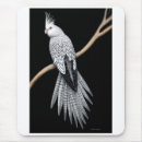 Search for cockatiels mousepads Birds