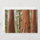 Search for ancient thank you cards Redwood