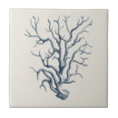 Search for ocean life tiles Sealife