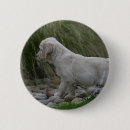 Search for stretch badges Dog