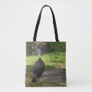 Search for turkeys bags Nature