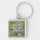 Search for burrow key rings Wildlife