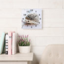 Search for hedgehog clocks Wild