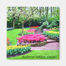 Search for keukenhof Netherlands